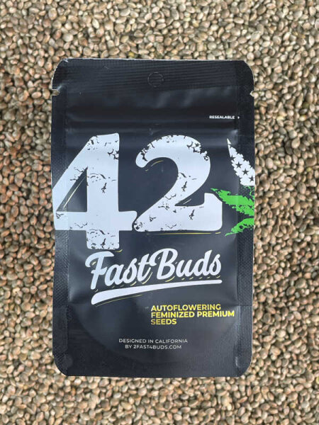 FastBuds Guava Auto, 1 Samen automatic