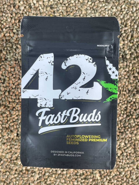Fastbuds Pound Cake Auto 1 Samen automatic