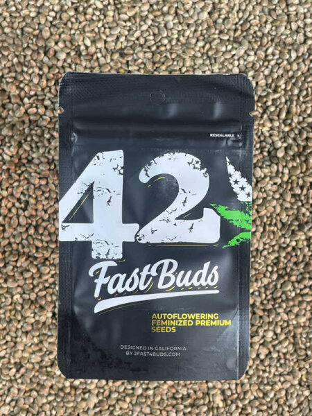FastBuds Sour Jealousy Auto, 1 Samen automatic