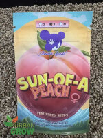 ANESIA SEEDS SUN OF A PEACH, 5 Samen feminisiert