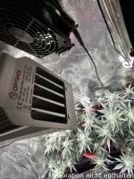 Optimol Top 200 LED Horti PRO, 210W