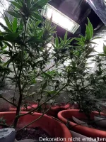 Optimol Top 200 LED Horti PRO, 210W