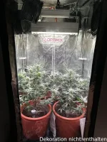 Optimol Top 200 LED Horti PRO, 210W