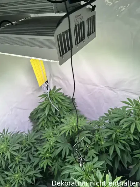 Optimol Top 650 LED Horti PRO, 630W