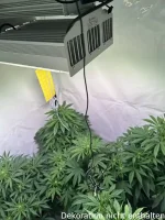 Optimol Top 650 LED Horti PRO, 630W