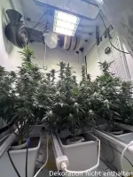 Optimol Top 650 LED Horti PRO, 630W