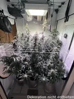 Optimol Top 650 LED Horti PRO, 630W