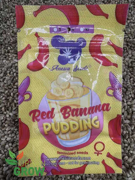 ANESIA SEEDS RED BANANA PUDDING, 5 Samen feminisiert