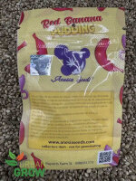 ANESIA SEEDS RED BANANA PUDDING, 5 Samen feminisiert