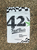 FastBuds GG4 Sherbet FF, 1 Samen feminisiert