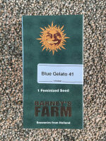 Barney`s Farm Seeds Blue Gelato 41, 1 Samen feminisiert