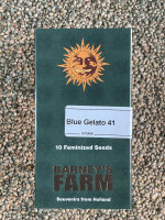 Barney`s Farm Seeds Blue Gelato 41, 10 Samen feminisiert
