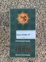 Barney`s Farm Seeds Blue Gelato 41, 5 Samen feminisiert