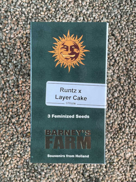 Barney`s Farm Seeds Runtz x Layer Cake, 3 Samen feminisiert