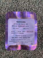 Mari Jane Seeds Tropicana, 3 Samen feminisiert
