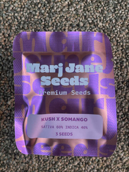 Mari Jane Seeds Kush x Somango, 3 Samen feminisiert