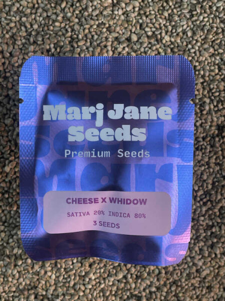 Mari Jane Seeds Cheese x Whidow, 3 Samen feminisiert