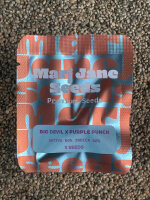 Mari Jane Seeds Big Devil x Purple Punch, 3 Samen automatic