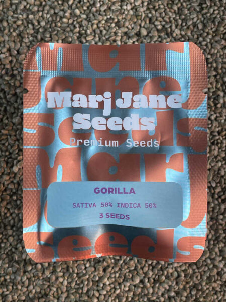 Mari Jane Seeds Gorilla, 3 Samen feminisiert