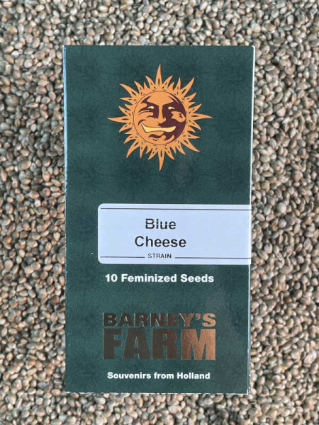 Barney`s Farm Seeds Blue Cheese, 10 Samen feminisiert