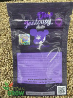 ANESIA SEEDS DEEP JEALOUSY AUTO, 3 Samen automatic