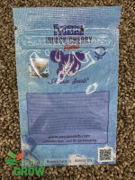 ANESIA SEEDS AUTO FROZEN BLACK CHERRY, 3 Samen automatic