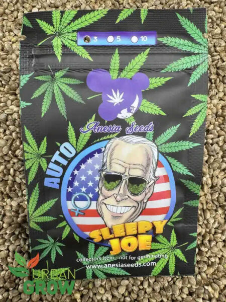 ANESIA SEEDS AUTO SLEEPY JOE, 3 Samen automatic