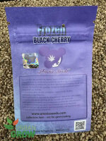 ANESIA SEEDS FROZEN BLACK CHERRY, 3 Samen feminisiert