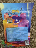 ANESIA SEEDS STICKY BOOF, 3 Samen feminisiert