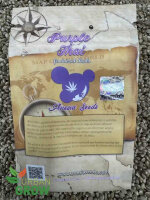 ANESIA SEEDS PURPLE THAI, 3 Samen feminisiert