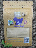 ANESIA SEEDS ANESIA SCOUT COOKIES, 3 Samen feminisiert