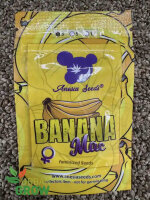 ANESIA SEEDS BANANA MAC, 3 Samen feminisiert