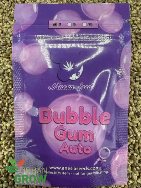 ANESIA SEEDS AUTO BUBBLE GUM, 3 Samen automatic
