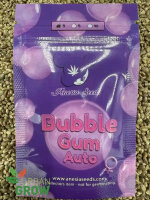 ANESIA SEEDS AUTO BUBBLE GUM, 3 Samen automatic