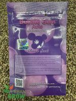 ANESIA SEEDS AUTO BUBBLE GUM, 3 Samen automatic