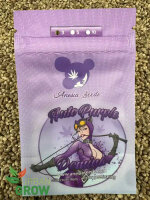 ANESIA SEEDS PURPLE DOMINA AUTO, 3 Samen automatic