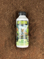 Crazy Hills Upthrive 500ml