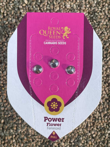 ROYAL QUEEN SEEDS Power Flower, 3 Samen feminisiert