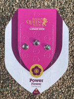 ROYAL QUEEN SEEDS Power Flower, 3 Samen feminisiert