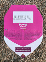 ROYAL QUEEN SEEDS Power Flower, 3 Samen feminisiert