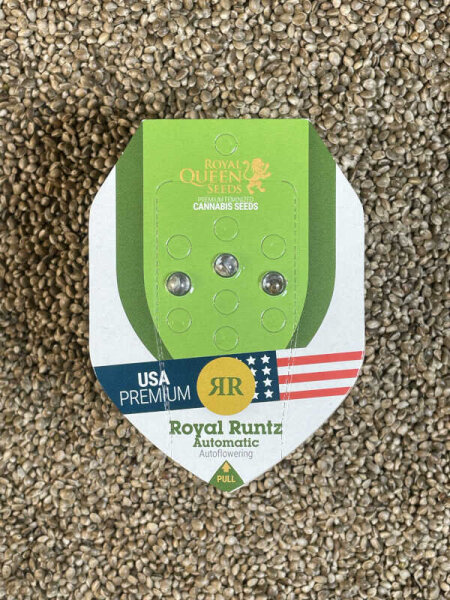 ROYAL QUEEN SEEDS Royal Runtz Auto, 3 Samen automatic