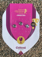 ROYAL QUEEN SEEDS Critical, 3 Samen feminisiert
