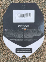 ROYAL QUEEN SEEDS Critical, 10 Samen regular