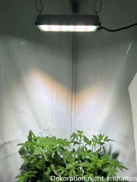 SANlight STIXX 50 EU Stecker