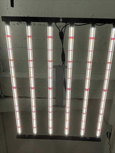 Fortis BYD 720w LED 2.7 mmol, Vollspektrum, 1100x1100x70mm