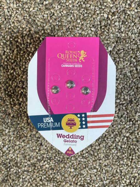 ROYAL QUEEN SEEDS Wedding Gelato USA Premium, 3 Samen feminisiert