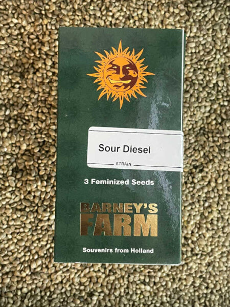 Barney`s Farm Seeds Sour Diesel, 3 Samen feminisiert