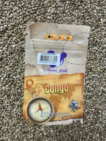ANESIA SEEDS CONGO, 3 Samen feminisiert