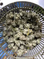 SUNFLOWER Dry Trimmer S, elektr. Trockentrimmer bis 1,5kg