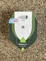 ROYAL QUEEN SEEDS Medusa F1, 1 samen automatic